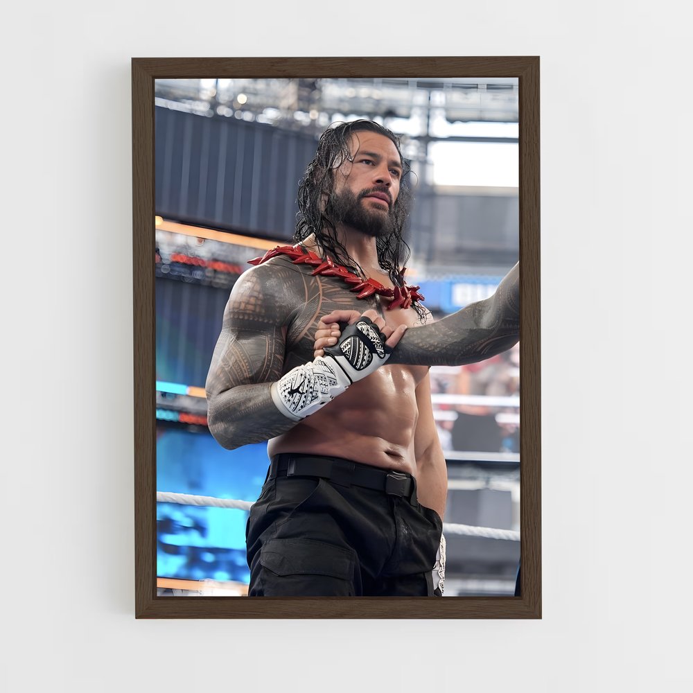 Poster Roman de reigns (vue 5)